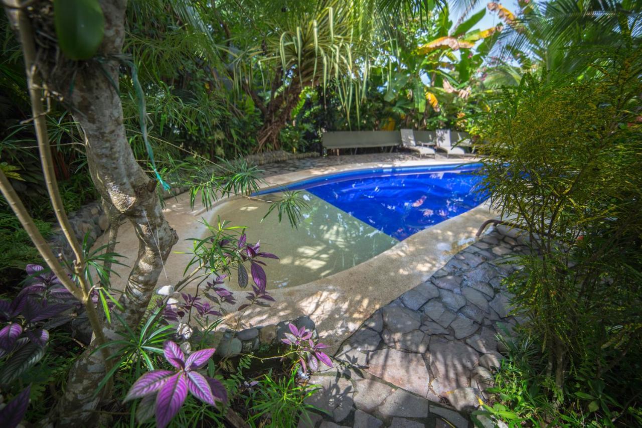 Villas Oasis Manuel Antonio Luaran gambar