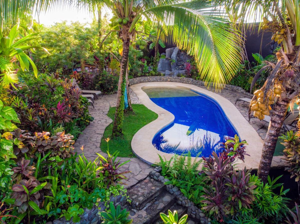 Villas Oasis Manuel Antonio Luaran gambar