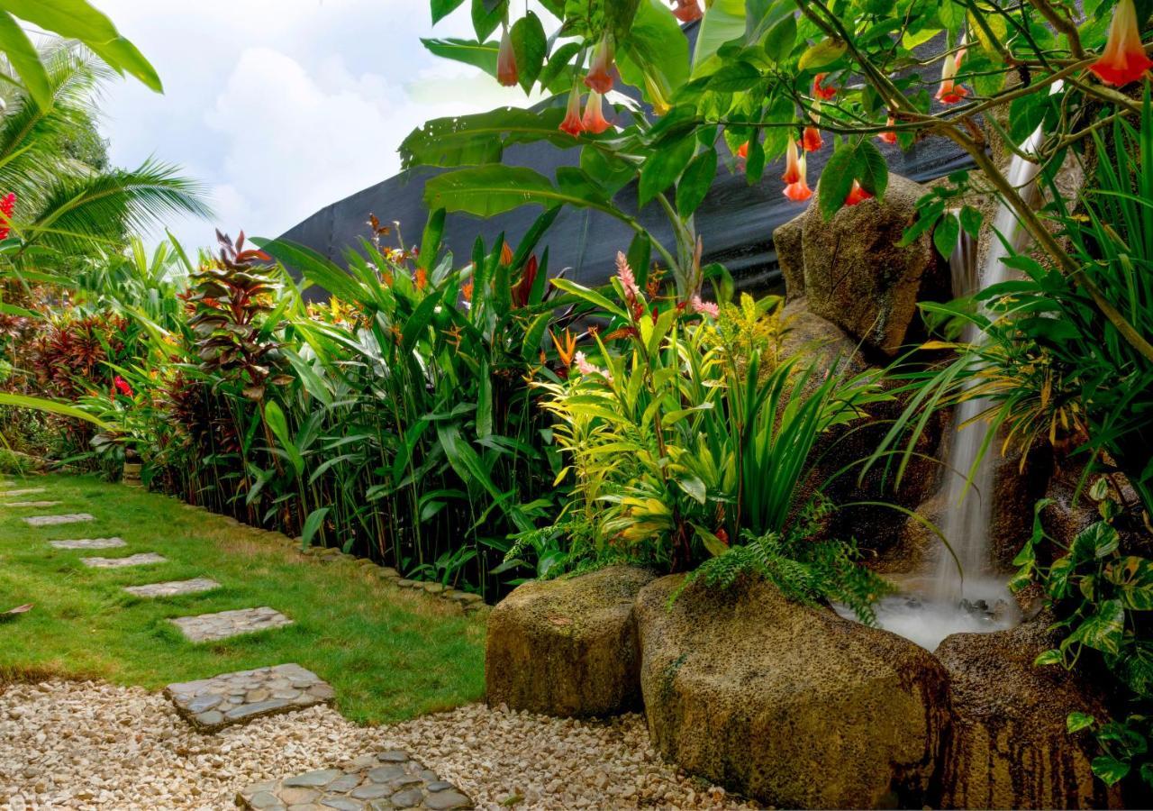 Villas Oasis Manuel Antonio Luaran gambar